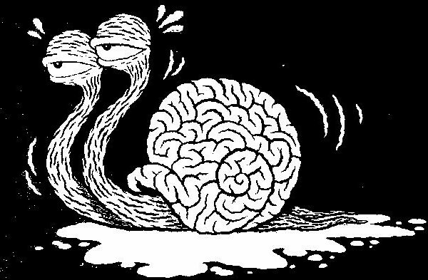 GANJA MEMBUAT MENTAL MENJADI LAMBAT GANJA MEMBUAT MENTAL MENJADI LAMBAT