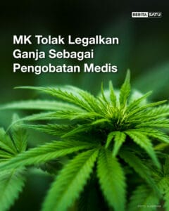 TEGAS! MK TOLAK LEGALISASI GANJA MEDIS