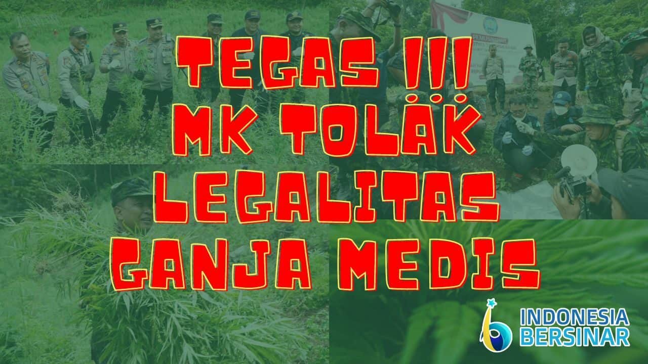 TEGAS! MK TOLAK LEGALISASI GANJA MEDIS TEGAS! MK TOLAK LEGALISASI GANJA MEDIS